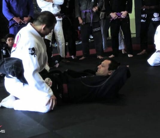 Inside The Closed Guard System