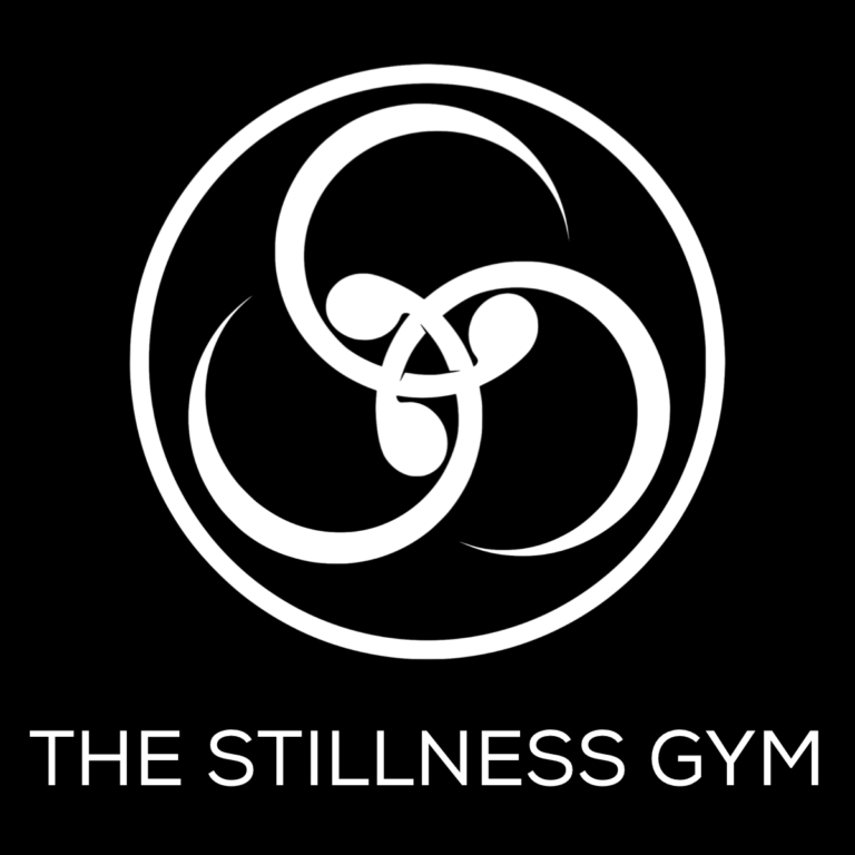 You Jiu Jitsu Spotlight: The Stillness Gym & The New Wave of Jiu Jitsu Wellness