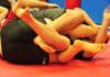 nogi submissions