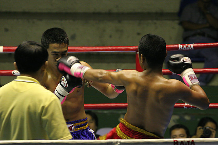 muay thai vs bjj