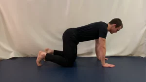 jordan shows the hands and knees position for bjj exercises
