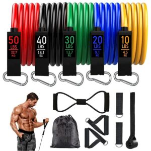 Resistance Bands, Resistance Band Set, Workout Bands, Exercise Bands for Men and Women